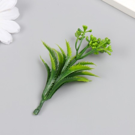Artificial plant for creativity "Araucaria" set 12 pcs green 9.5 cm-2