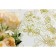 The oilcloth is transparent "Emperor's dream", thickness 0.8 mm, 80 cm, 20 p.m., BRT-003