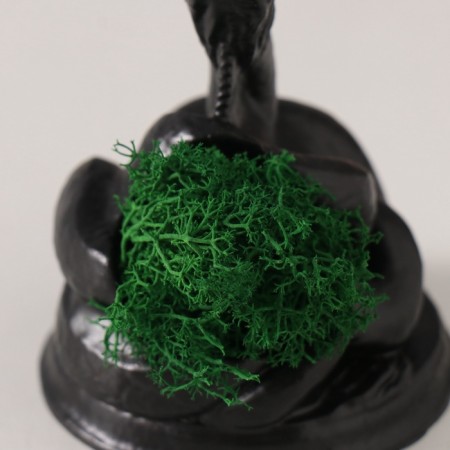 Souvenir "Snake Glikon" with moss 6.5*8.5*3 cm black (moss is green stabil)-4