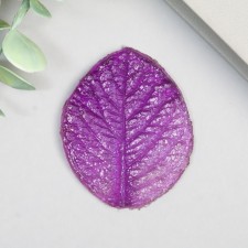 Acrylic Mold 
