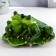 Souvenir Polystone Lak "Frog on the sheet" 8.5x14x9.5 cm