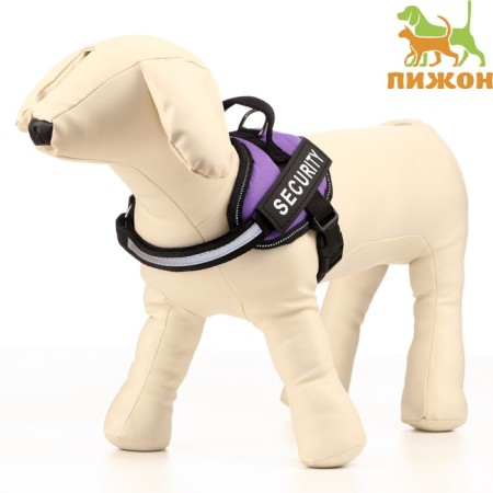 C9 sloping is soft reflective, size XS, OG 38-50 cm, weight 3-6 kg, purple weight