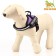 C9 sloping is soft reflective, size XS, OG 38-50 cm, weight 3-6 kg, purple weight