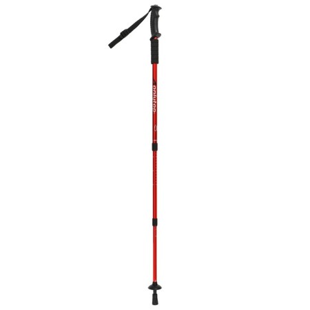 Sticks for Scandinavian walking online, telescopic, 3 sections, up to 135 cm, 2 pcs., Mix color-6