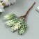 Artificial succulent for creating a florarium "Hall" 1 bouquet = 6 branches of hoar 13 cm
