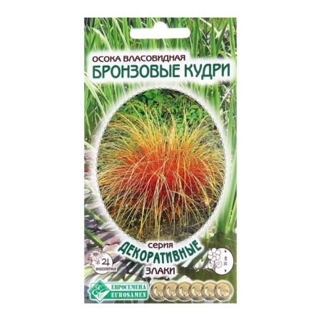 Sedge seeds of the sedge "bronze curls", 5 pcs
