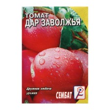 Seed Tomat 