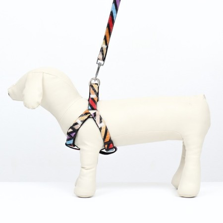 The ammunition set is two-layer, size L, leash 120 x 2 cm, ok 31-45 cm, OG 35-52 cm, multi-colored-1