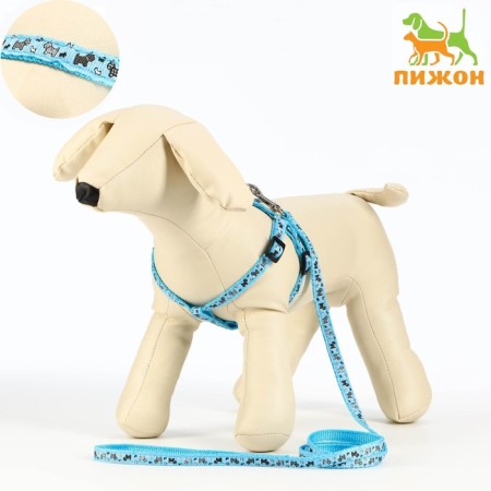 Set "Dogs", leash 120 x 1 cm, og 23-35 cm, blue