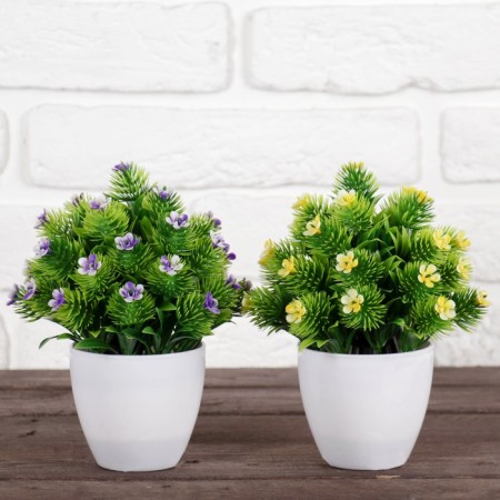 Bonsai in the pot "Fluffy Flower Bush" 8x16 cm, mix-3