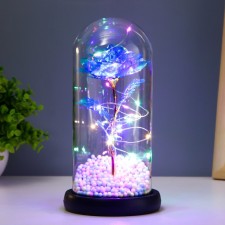 Nightlight 