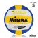 Volleyball Minsa, PVC, machine stitching, 18 panels, p. 5