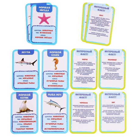 Developing set "Underwater World", pool, hydrogel, cards-6