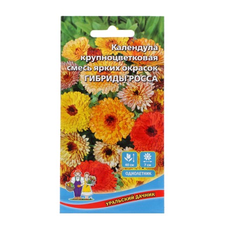 Calendula flowers of calendula "Ross hybrids", 0, 25 g,