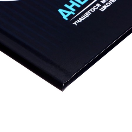 Diary for the music school of 48 sheets "vinyl", hard cover, glossy lamination-2