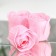 Soap roses, pink, set of 9 pcs.