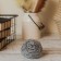 Washing sponge of dishes metal Raccoon, galvanized spiral, 30 g