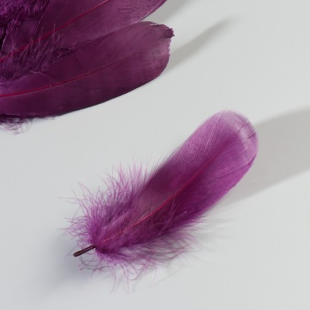 A set of goose feathers 13-18 cm, 20 pcs, dark purple-3