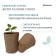 Peat pot, 100 ml, 6 × 6 cm, set 20 pcs., Greengo