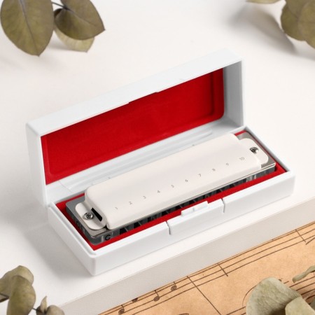 Music Life T008L Clinkle C Diatonic, 10 holes, with a case-4