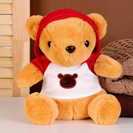 Soft toy "Bear" in the jacket, 23 cm, color mix-1