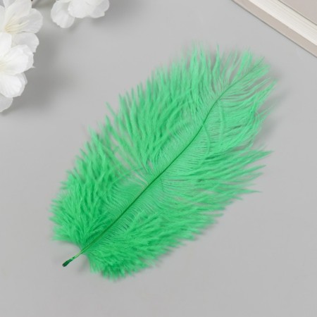 Decorative ostriches "Emerald" h = 15-20 cm-1
