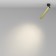 Technical C141CL-L300-6W3K-BBS Focus T, 30x30x341 mm, LED, 6W, 280LM, 3000K, Black Black and Brass