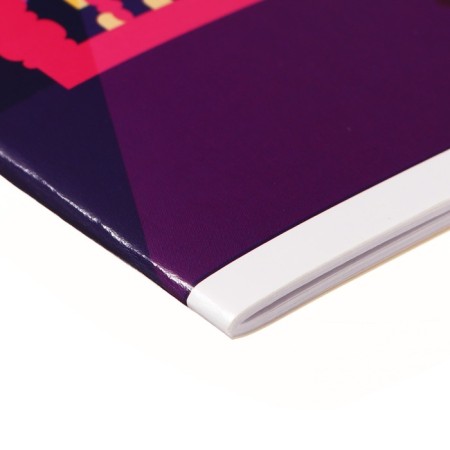 Album for drawing, A4 20 sheets, on the paper clip "Two sides", cover coated cardboard, v, varnish, offset block 100g/m2-2