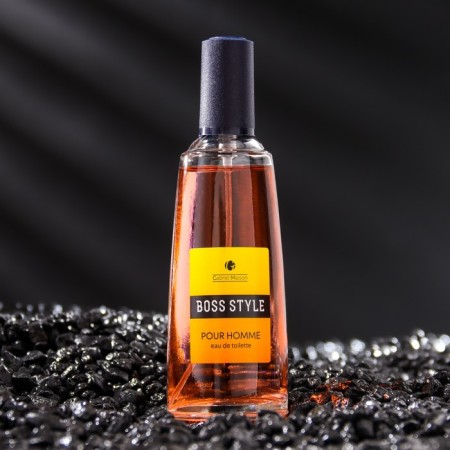 Tuale water men's Gabriel Maison "Boss Style", 50 ml-1