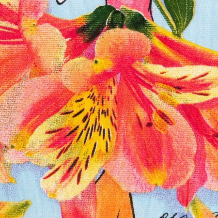 A set of kitchen towels of the “most charming” shares 35x60 cm - 2pcs, 100% HL-2