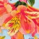 A set of kitchen towels of the “most charming” shares 35x60 cm - 2pcs, 100% HL