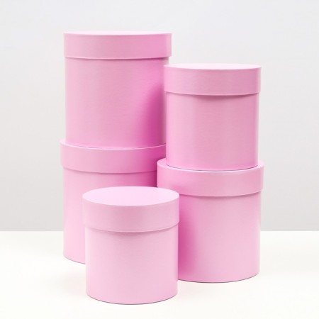 A set of hats 5 in 1 "Lilac", 20 × 20 × 20–13.5 × 13.5 × 13.5 cm