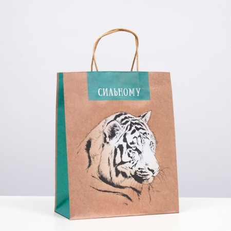 Gift package "strong" 26 x 32 x 12 cm