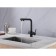 ABBER EMOTION AF8814B kitchen mixer, drinking water output, sliding watering can, black 105618