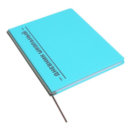 Universal diary for grades 1-11 Excellent, solid cover of artificial leather, silkography, lies, 48 ​​sheets, blue-1