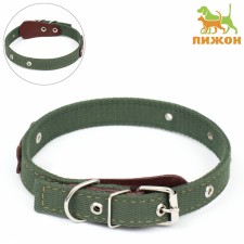 The collar is a tarpaulin two-layer dimensionless, with a tongue and a leather bone, 2.5x60 cm, Osh 30-55 cm 90