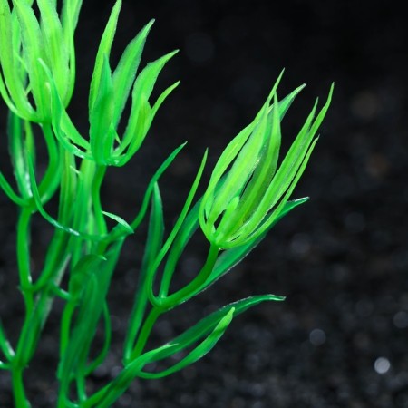 Artificial aquarium plant, 10 cm, green-1