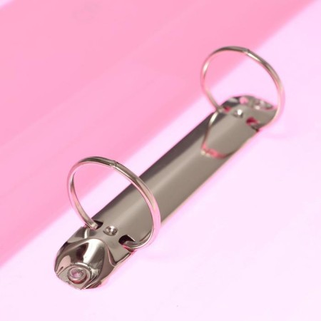 Folder on 2 rings A4 Calligrata, 40mm, 700mm, pocket at the end, pink lemonade-2