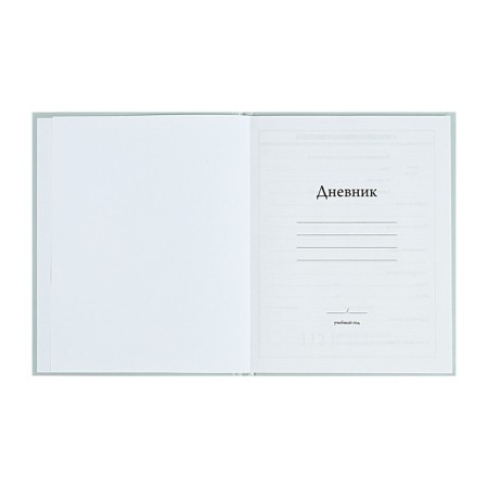 Universal Diary 5-11 classes, 48 ​​sheets "there is", matte lamination, a solid cover, a UV-lace, block 65 g/m2-3