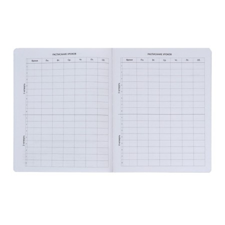 Universal diary for grade 1-11 May bes, hard cover, artificial leather, lies, 80 g/m2-4