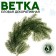Decor "Branch of fragrant spruce"