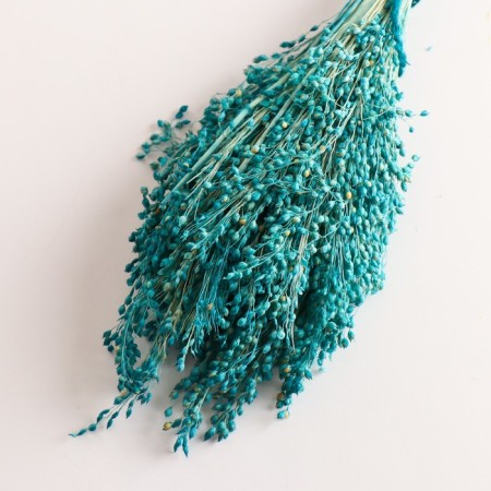 Set of dried flowers "millet", banch length 45 (+/- 6 cm), turquoise-2