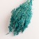 Set of dried flowers "millet", banch length 45 (+/- 6 cm), turquoise
