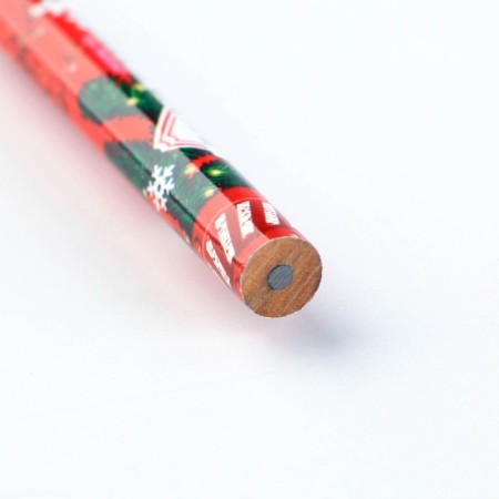 Gift New Year's Set: notebook, pencils of b/g 2 pcs and wax crayons "New Year's package"-14