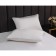 A set with a blanket Duet "Rafael No. 4", size 230x250 cm, 160x220 cm - 2 pcs, 50x70 cm - 2 pcs