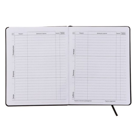Universal diary for grade 1-11 I’m fine, integral cover, artificial leather, silkography, lies, 80 g/m2-4