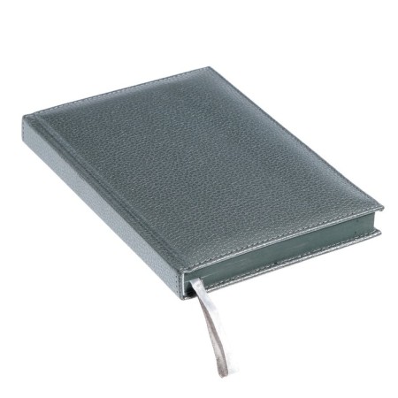 Leduced A5 Diary, 160 sheets, Devente.Gold Rush, firm artificial leather cover with foam rubber, silver slice, Bullpan of 70 g/m2, silver-2