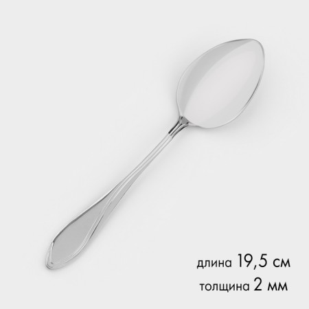 Spoon "Wave", h = 19.5 cm, thickness 2 mm, silver color