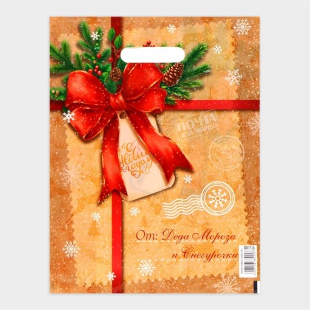 New Year. The package "Epistle from Santa Claus and Snow Maiden", plastic with a cut pen, 30 x 40 cm.-1