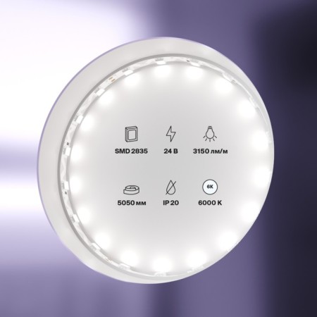 Maytoni LED tape, 24V, IP20, 5050, 12W/m, 6000K, 5 m, monochrome glow-3